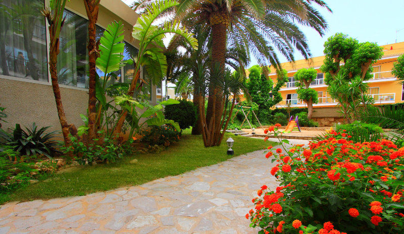 Bg Java Playa de Palma  Luaran gambar